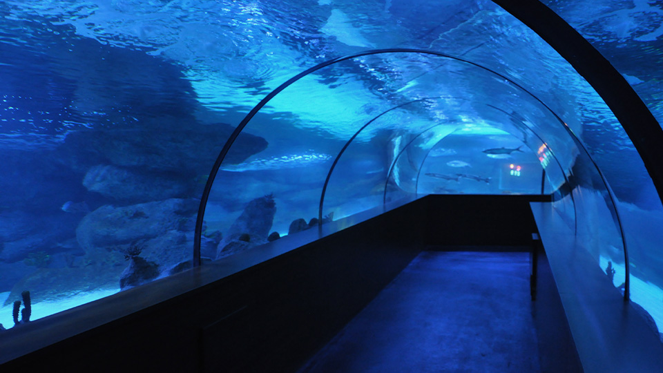 AQUAVEGA