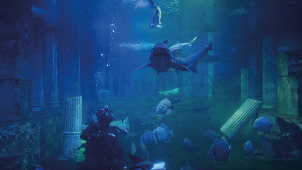 AQUAVEGA